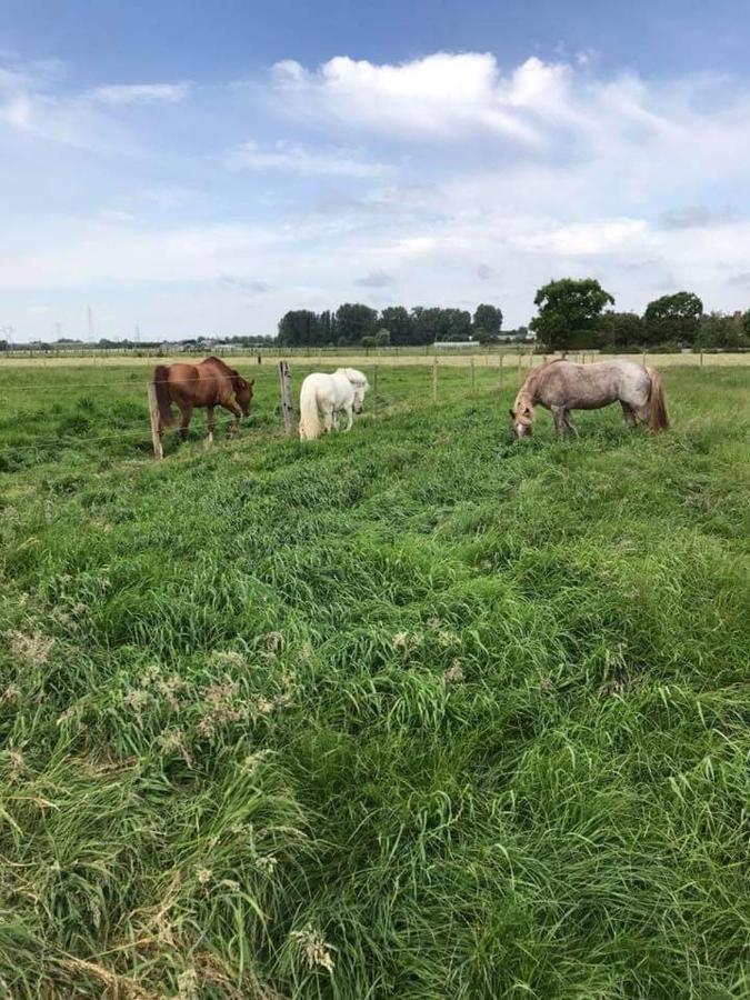 Ferme De La Forterie Verlinghem Eksteriør billede